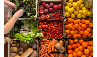 Compra frutas y verduras a granel: frescura y calidad directo a tu puerta